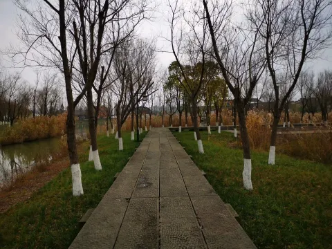 湘湖行人走道