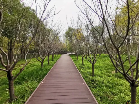 钱江南岸步行道