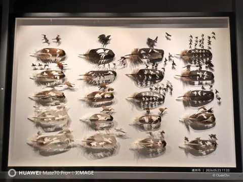 自然之美10