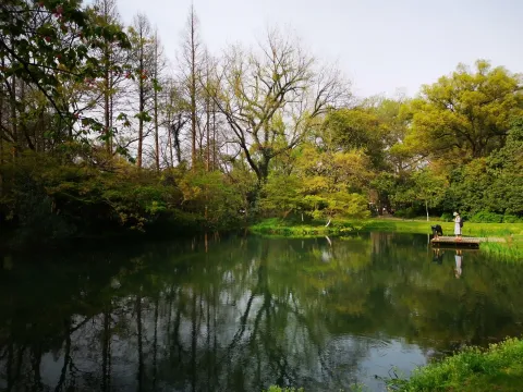 太子湾踏春1
