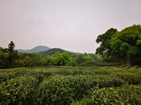 五云山3