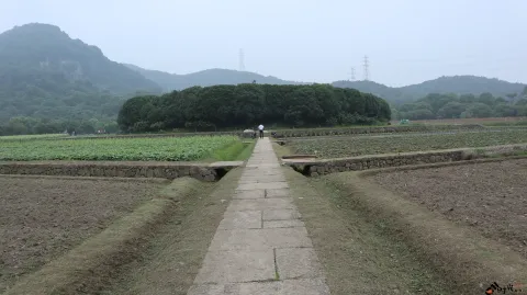 玉皇山下八卦田的景色