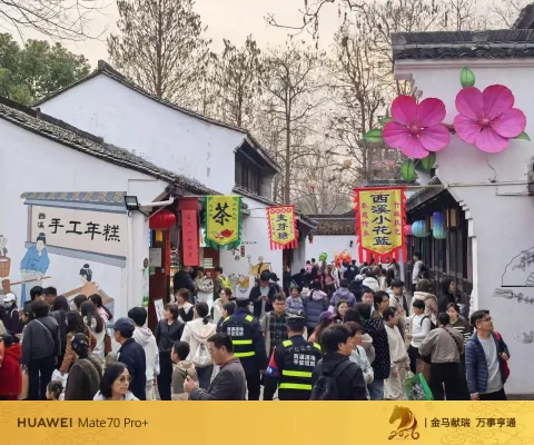 春节河渚街的热闹4