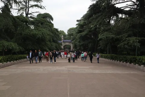 中山陵3