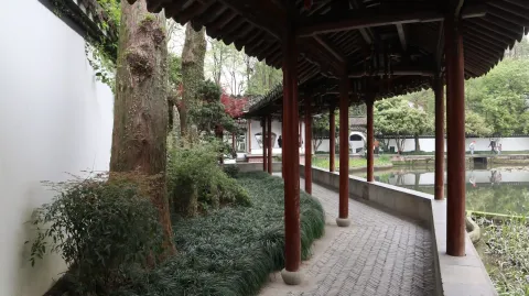 郭庄8