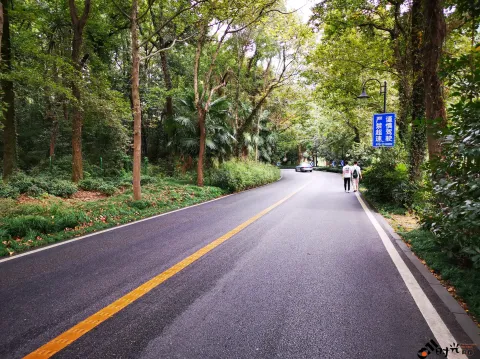 龙井路，心旷神怡的景色