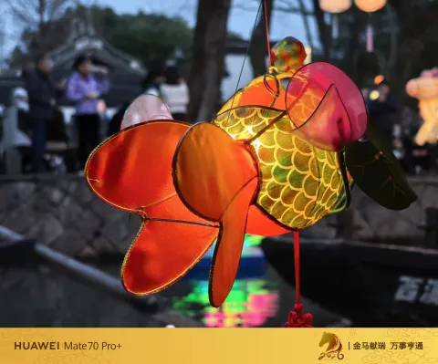 夜色中坐摇橹船赏灯5