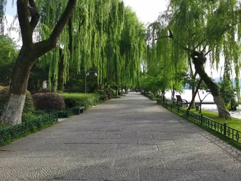 西湖10