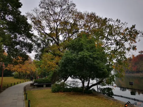 西湖，北山街南侧的景色
