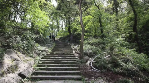 玉皇山11
