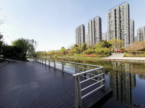 不一样的小河景致