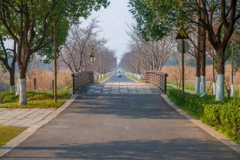 长田漾湿地公园4