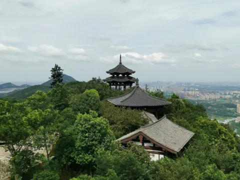 半山国家森林公园11