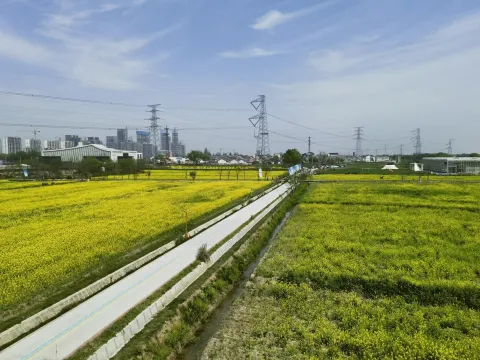 田园牧歌6