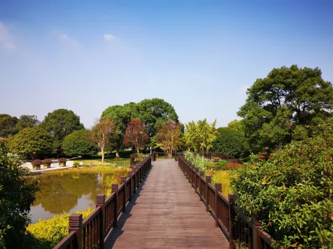 钱塘江大桥南岸的公园景色