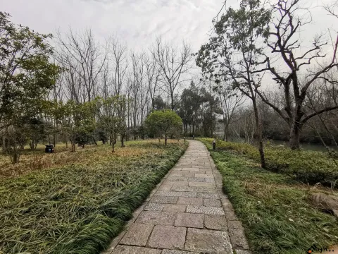 西溪国家湿地公园