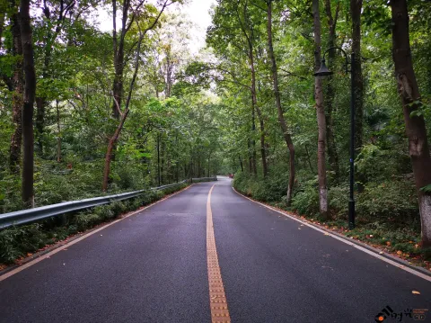 行走在满觉陇路