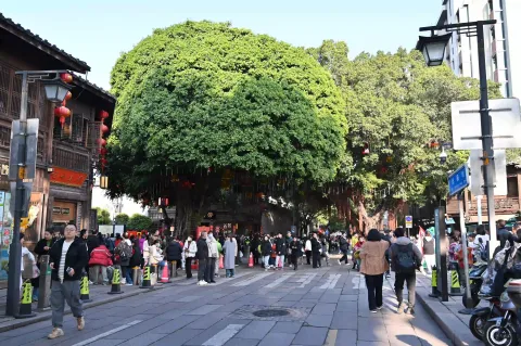 白日的福州三坊七巷7