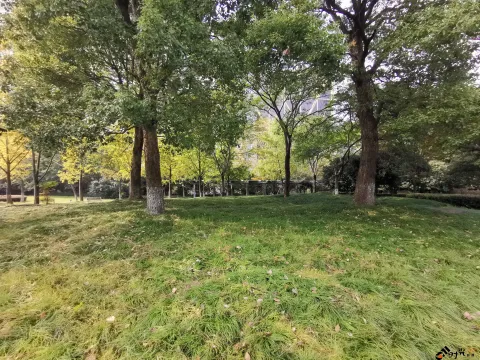 钱江CBD公园
