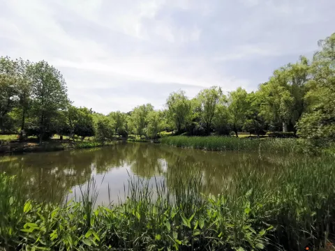 良渚美丽洲公园