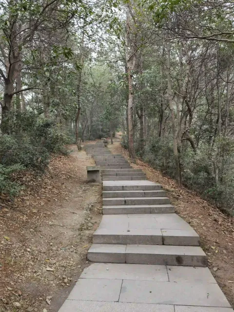 十里锒铛3