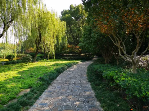 钱塘江大桥南岸的公园景色