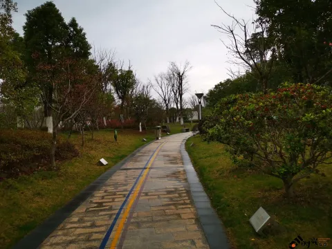 萧山信息港公园