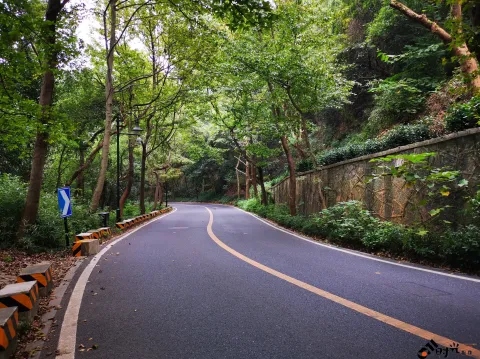 行走在满觉陇路
