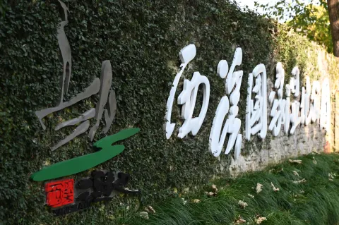 西溪湿地1