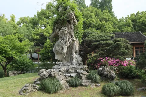 曲院风荷里面的盆景