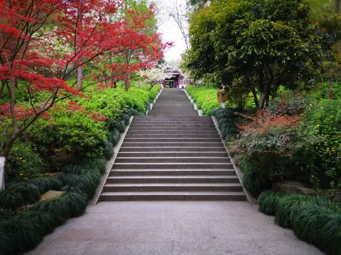 万松书院49
