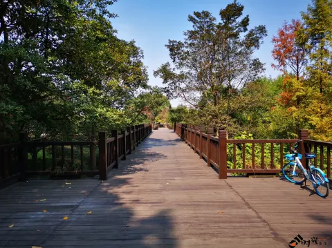 钱塘江大桥南岸的公园景色