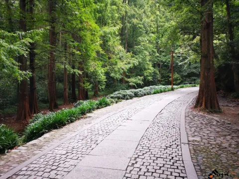 行走九溪十八涧之路