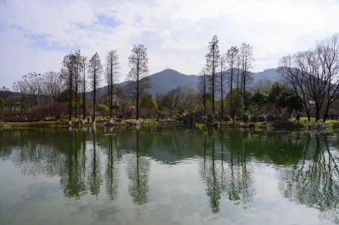 超山景区3