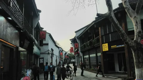 河坊街的游人