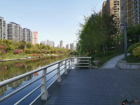 不一样的小河景致