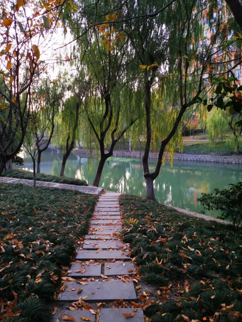 湘湖东岸的人行走道