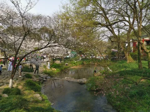 太子湾踏春22