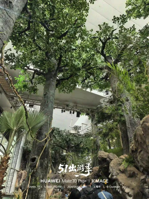 科技馆内的雨林秘境3