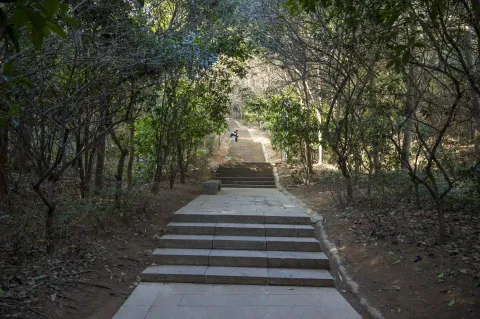 仁皇山爬山走道4