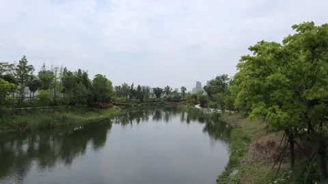 杭州国际博览中心南侧景色