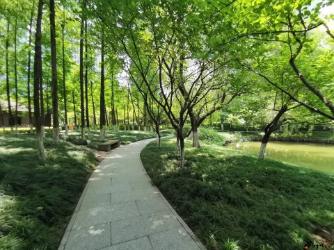 钱江新城森林公园