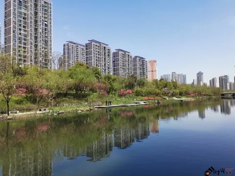 不一样的小河景致