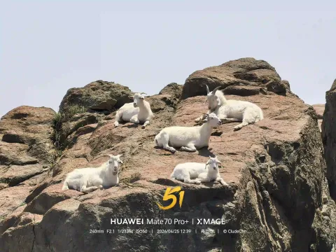 崖上山羊自在栖息