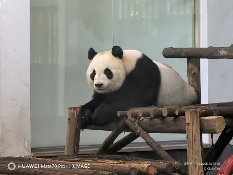 安吉中国竹子博览园14