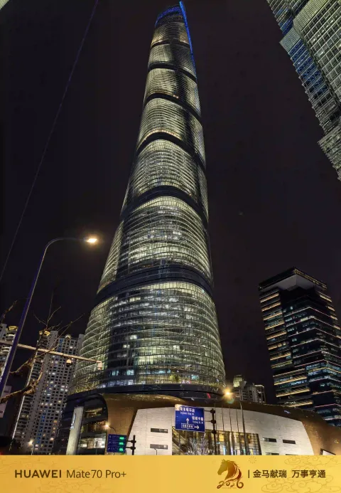 陆家嘴的夜景13