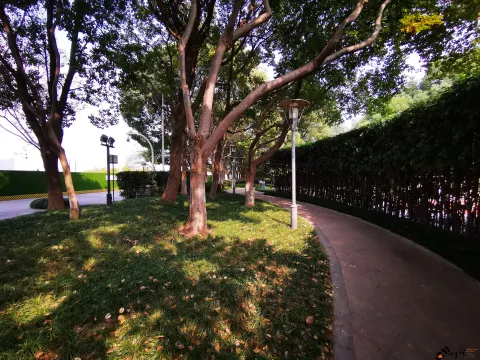 滨江公园一景