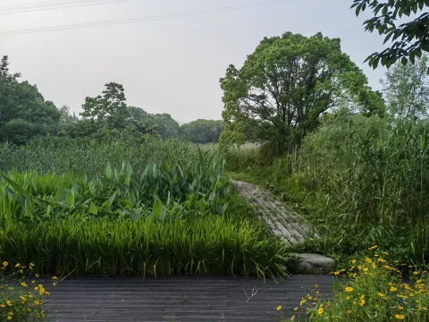 长田漾湿地公园4