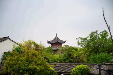 盐官观潮胜地公园11