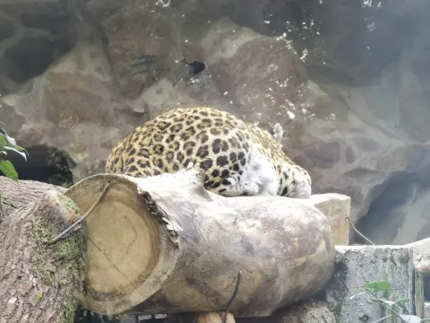 杭州动物园3